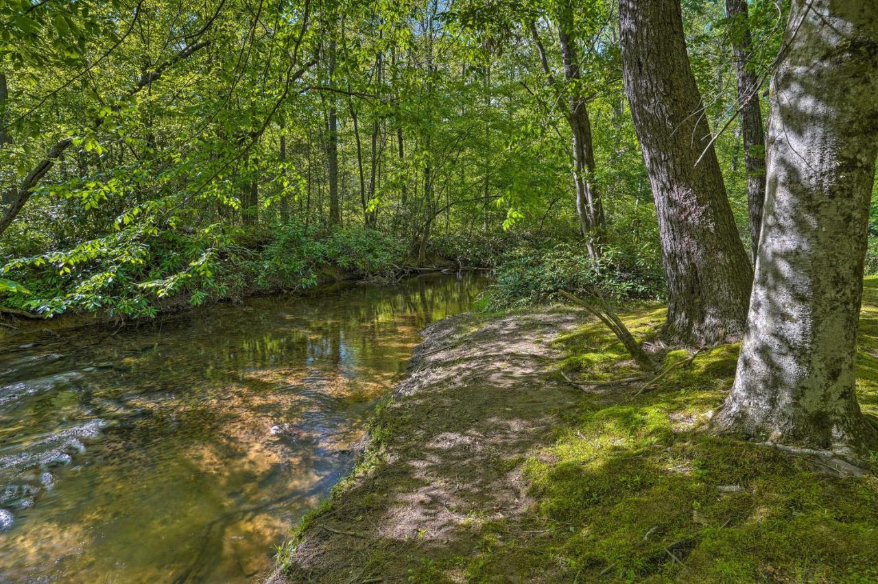 Cozy Tellico Plains Cabin With Large Mountain Creek! Екстер'єр фото